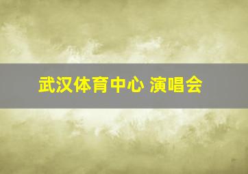 武汉体育中心 演唱会